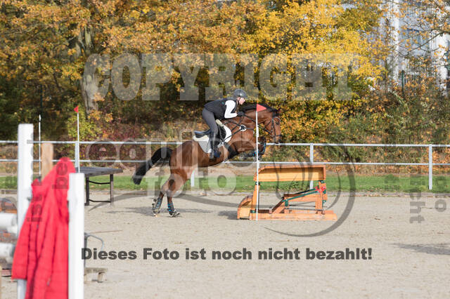 IGV Lehrgang der Sieger der Cups mit Frank Ostholt