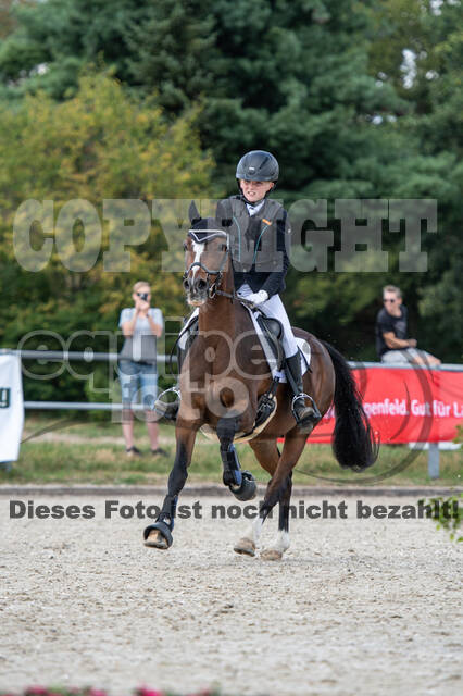 Landesturnier Rheinland, Vielseitigkeit, 22.+23.08.2020