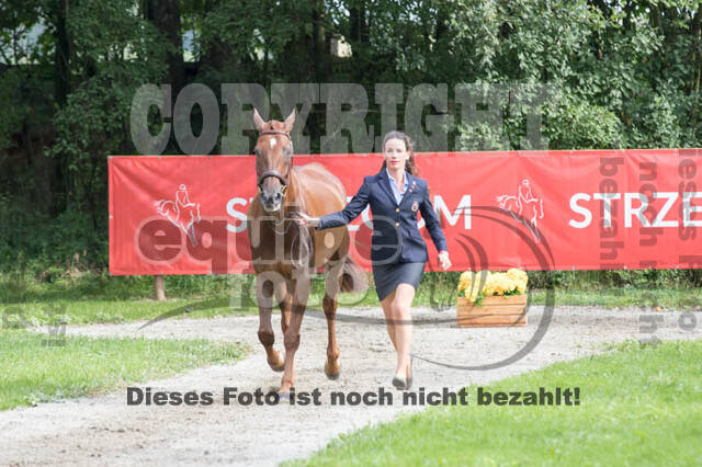 FEI European Championship Eventing 2017