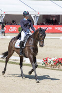 FEI European Championship