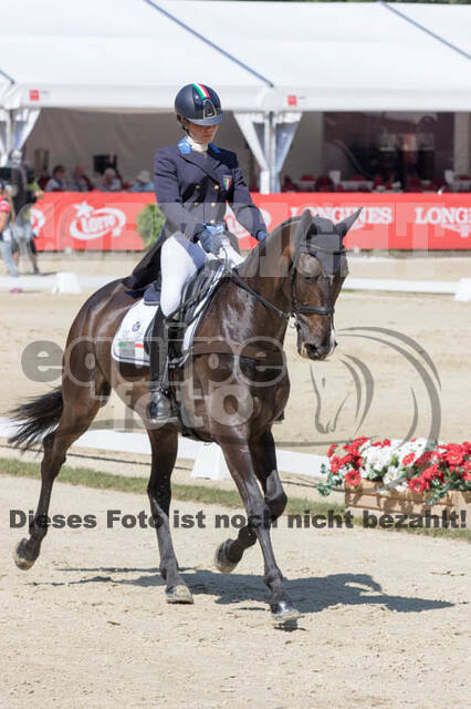FEI European Championship