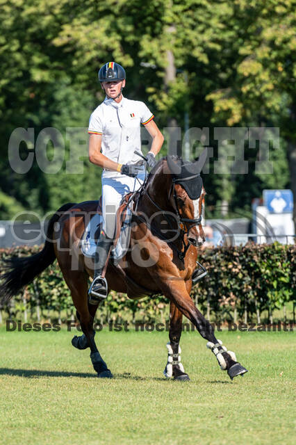 Kronenberg - De Peelbergen (August 2020)