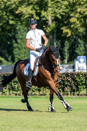 Kronenberg - De Peelbergen (August 2020)