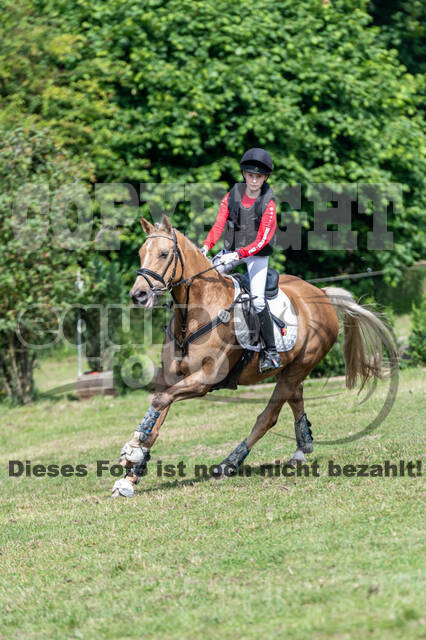 Goldene Schärpe 2021 - Ponys