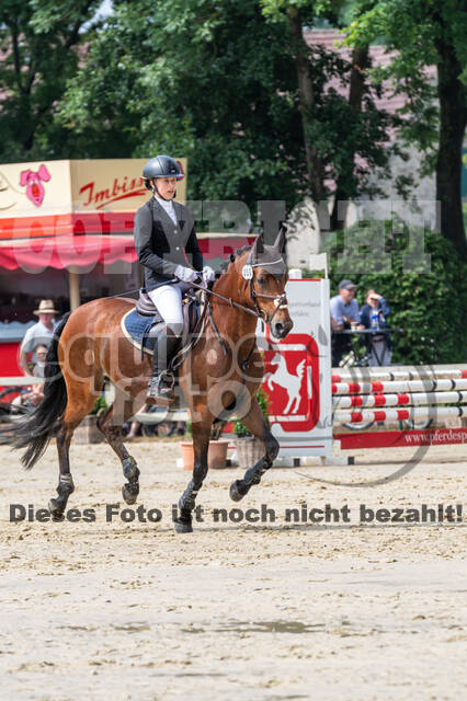 Goldene Schärpe 2021 - Ponys