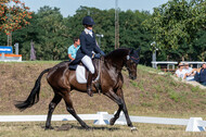 Kronenberg - De Peelbergen (August 2020)