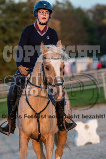 IGV Lehrgang der Sieger der Cups mit Frank Ostholt