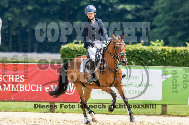 Goldene Schärpe 2021 - Ponys