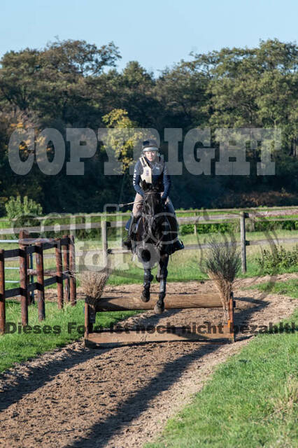 Vielseitigkeitslehrgang mit Jürg Kurbel (9.+10.11.2019)