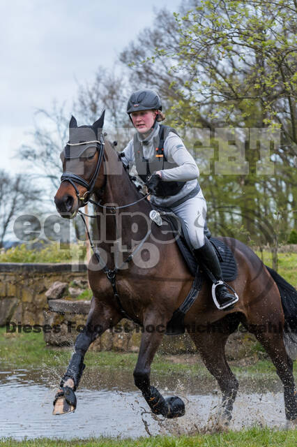 Maria Elisabeth Schulte Spechtel , Brexit S 