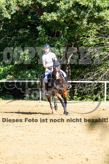 RFV Dinslaken-Hiesfeld (Herbstturnier)