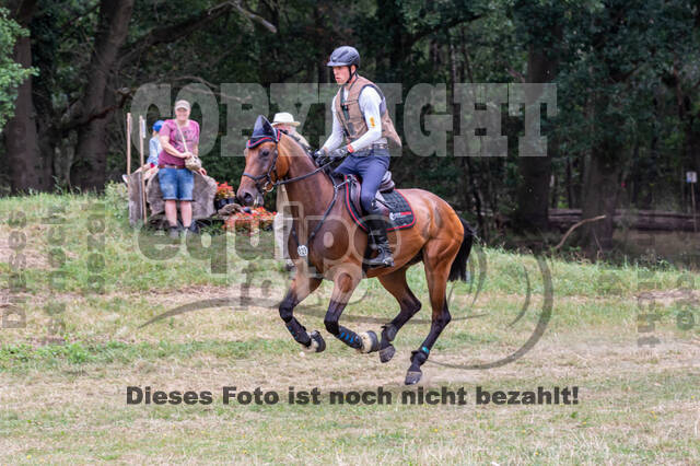 Late-Entry Vielseitigkeit Hamminkeln/Wesel (01.+02.08.2020)