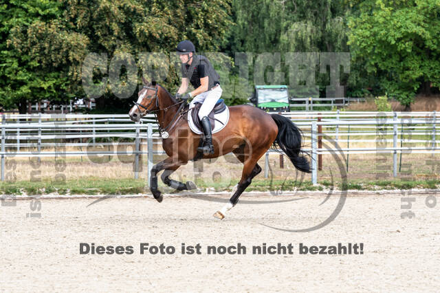 Late-Entry-Vielseitigkeit Langenfeld (11.+13./14.06.2020)