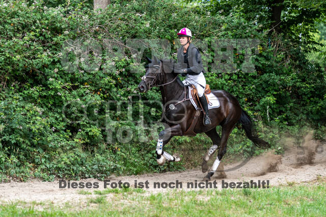 Late-Entry-Vielseitigkeit Langenfeld (11.+13./14.06.2020)