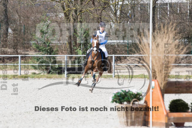 Eventing Langenfeld