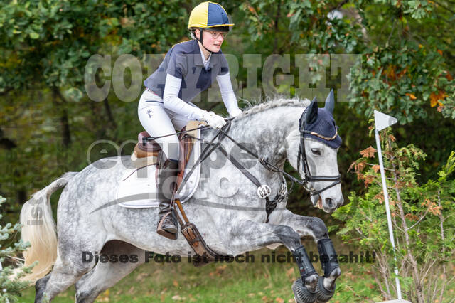 Goldene Schärpe 2020 - Pferde