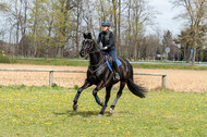 Geländetraining ZRFV Hamminkeln (24+25.04.2021)