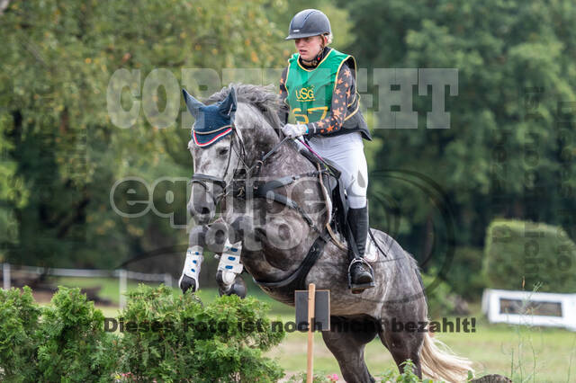 Vielseitigkeit RSV Wesel Obrighoven (26.+27.09.2020)