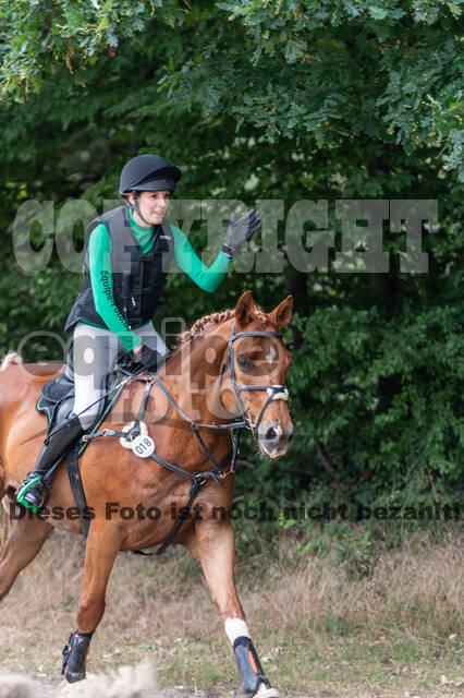 Late-Entry-Vielseitigkeit Langenfeld (11.+13./14.06.2020)