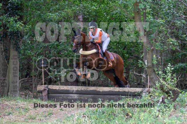 Late-Entry Vielseitigkeit Hamminkeln/Wesel (01.+02.08.2020)