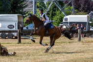 Late-Entry Vielseitigkeit Hamminkeln/Wesel (01.+02.08.2020)