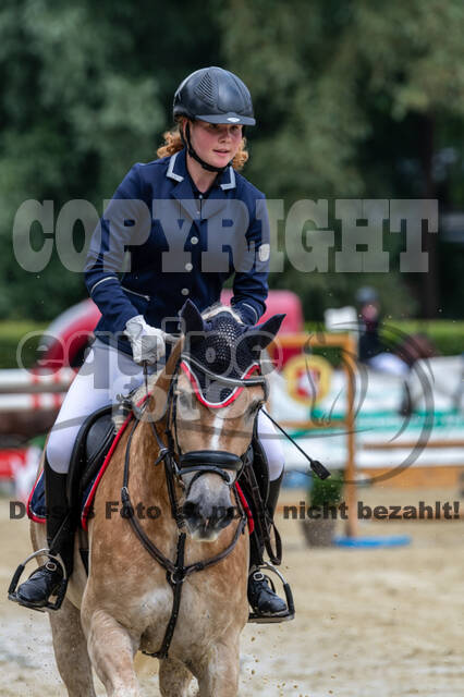 Goldene Schärpe 2021 - Ponys