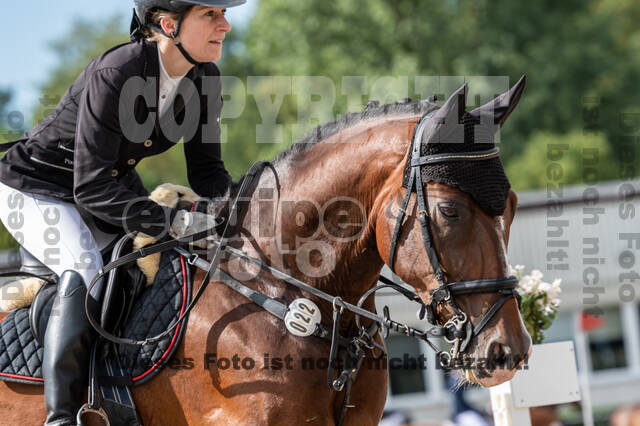 Late-Entry-Vielseitigkeit Langenfeld (06.+07.07.2020)