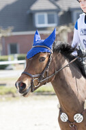 Eventing Langenfeld