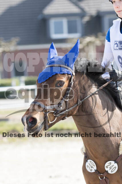 Eventing Langenfeld