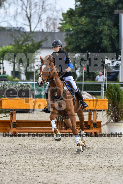 Late-Entry-Vielseitigkeit Langenfeld (11.+13./14.06.2020)