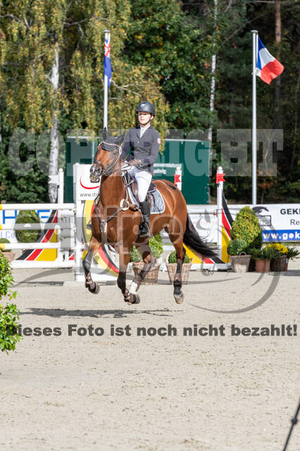 Deutsche Meisterschaft Vielseitigkeit (Luhmühlen)