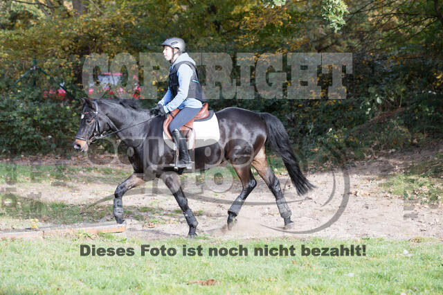 IGV Lehrgang der Sieger der Cups mit Frank Ostholt
