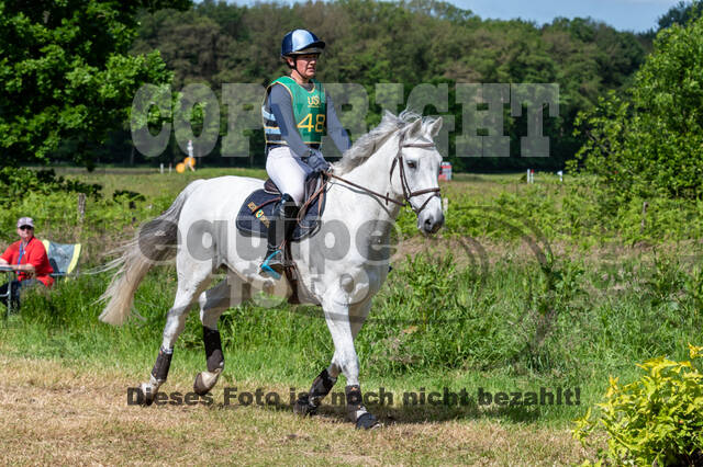 Westerstede Horse Trials (10.-13.06.2021)