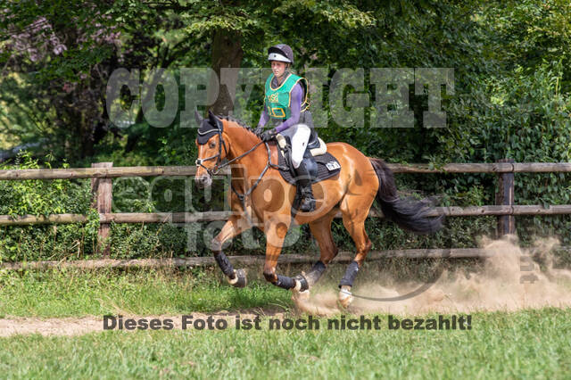 Late-Entry-Vielseitigkeit Gahlen (18.07.2020)