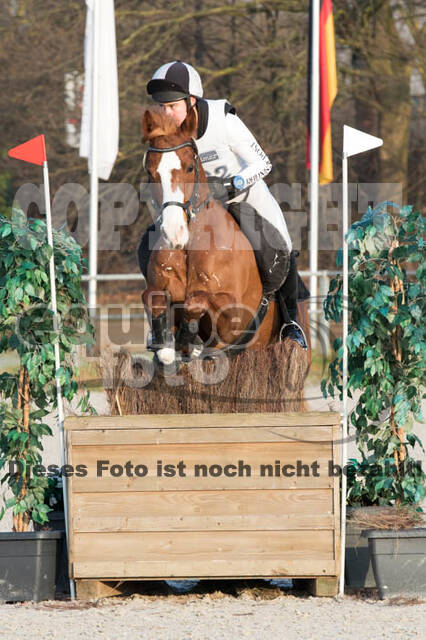 Eventing Langenfeld 2018