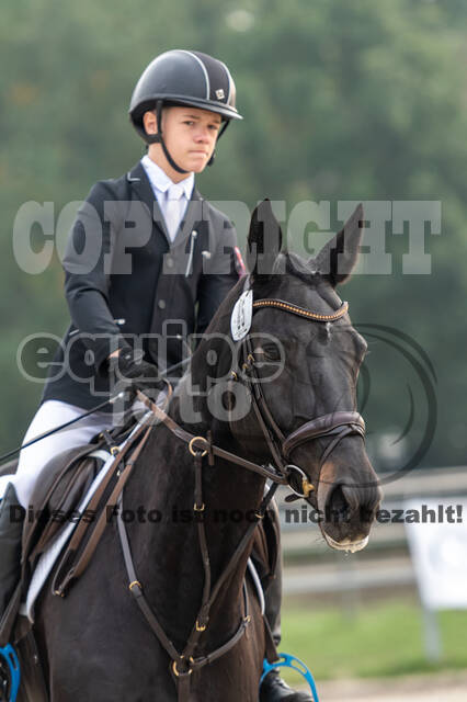 Goldene Schärpe 2020 - Pferde