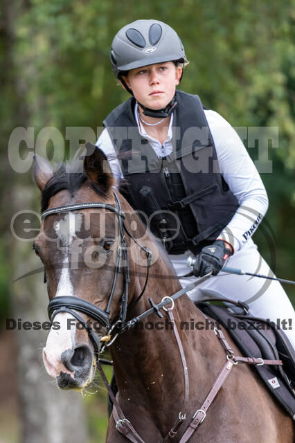 Late-Entry-Vielseitigkeit Langenfeld (11.+13./14.06.2020)