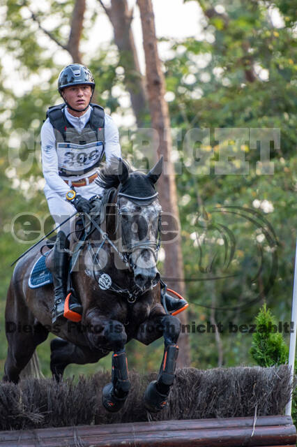 De Peelbergen (August 2020)