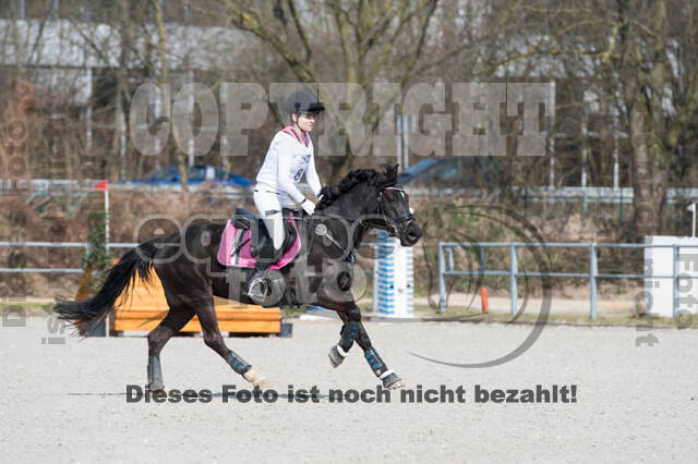 Eventing Langenfeld 2018