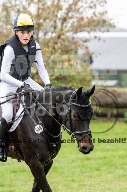 Goldene Schärpe 2020 - Pferde