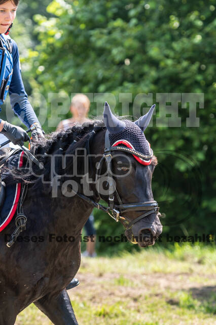 Goldene Schärpe 2021 - Ponys