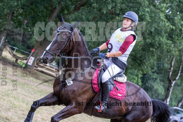 Late-Entry Vielseitigkeit Hamminkeln/Wesel (01.+02.08.2020)