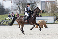 Eventing Langenfeld