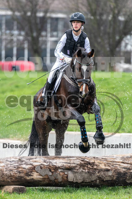 Goldene Schärpe 2020 - Pferde