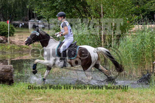 Late-Entry Vielseitigkeit Hamminkeln/Wesel (01.+02.08.2020)