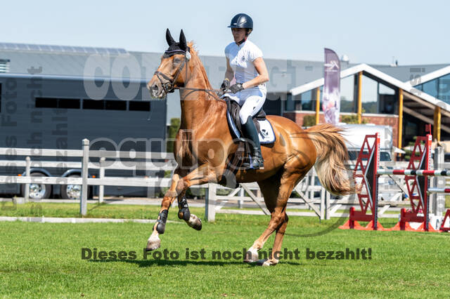 Kronenberg - De Peelbergen (August 2020)