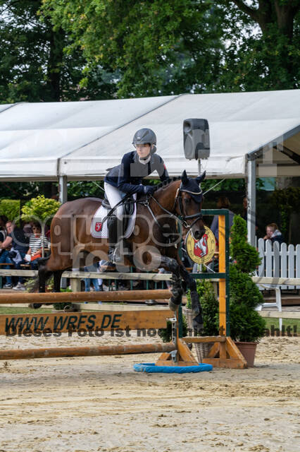 Goldene Schärpe 2021 - Ponys