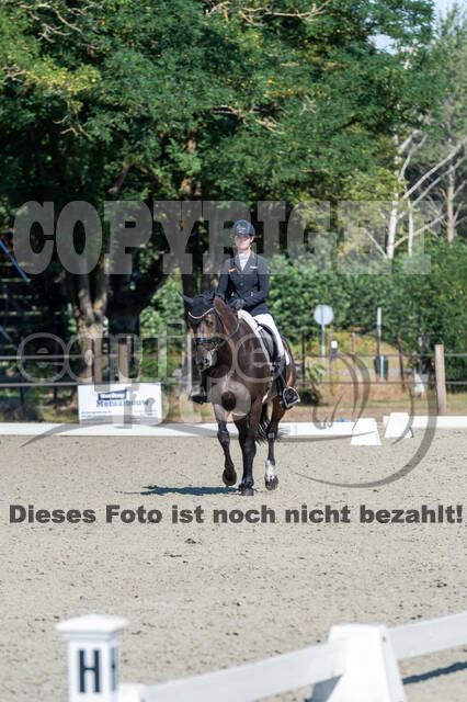 Kronenberg - De Peelbergen (August 2020)