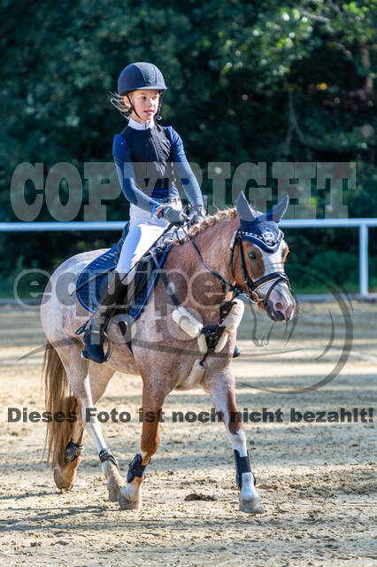 RFV Dinslaken-Hiesfeld (Herbstturnier)