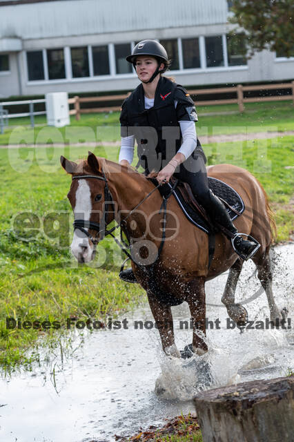 IGV Lehrgang der Sieger der Cups mit Frank Ostholt